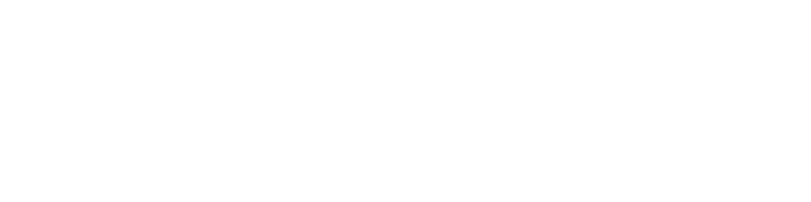 denic-direct-logo-white